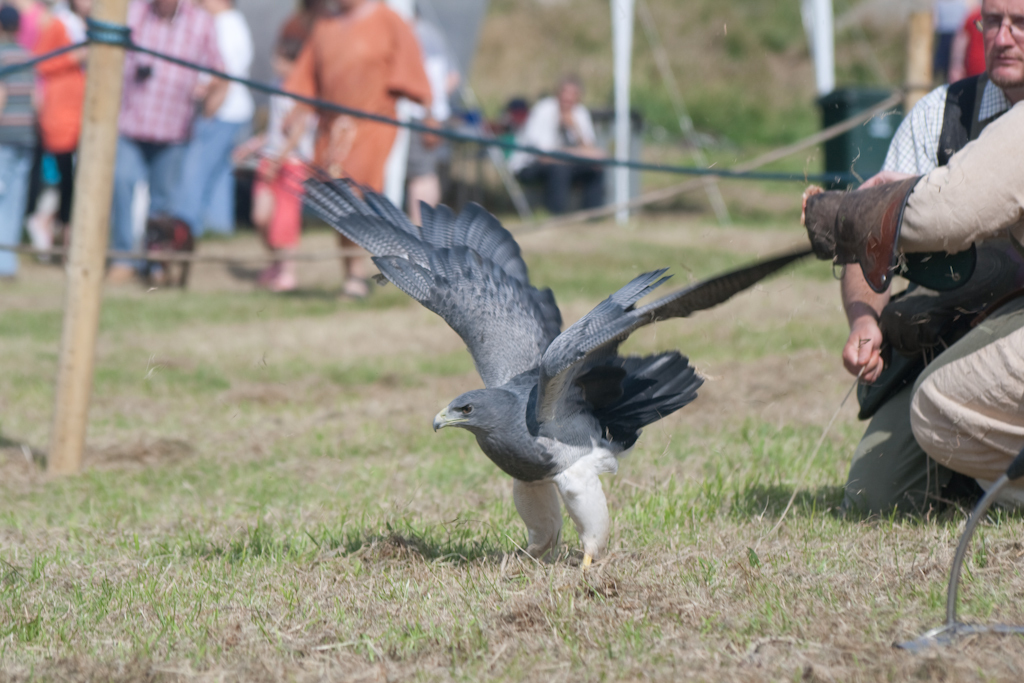 photographybyduncanholmes_3758771376_burghead2009 (45 of 73).jpg